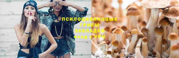 мескалин Карталы